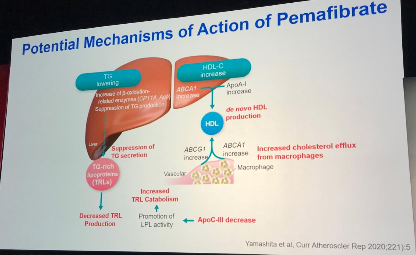 American Heart Association 2022 veja os destaques do congresso